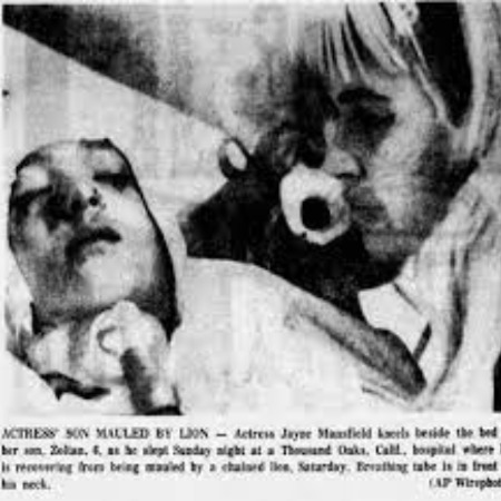 Zoltan Hargitay was attacked by Lion in 1966.